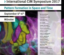 International CiM Symposium 2017 | Cells in Motion: Pattern formation in space and time