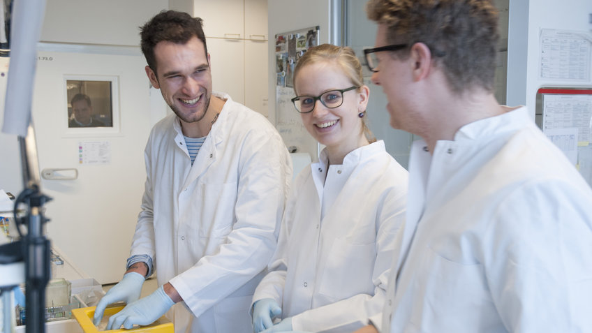 CiM-IMPRS Graduiertenprogramm CiM-IMPRS Graduiertenprogramm
