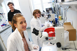 Experimenting with flatworms