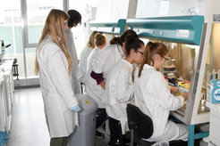 Im Labor konnten die Schülerinnen und Schüler in die Haut eines Stammzellforschers schlüpfen