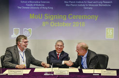 Signing the Memorandum of Understanding: Prof. Dr. Hans Schöler (Director of the Max Planck Center; MPI for Molecular Biomedicin; left), Prof. Dr. Thomas Braun (Co-Director of the Max Planck Center; MPI for Heart and Lung Research; right), and Prof. Dr. Wai Yee Chan (Director of School of Biomedical Sciences) signed the Memorandum of Understanding to further strengthen the close scientific relation between the Max Planck Institutes and the School of Biomedical Sciences of the Chinese University of Hong Kong (CUHK).
