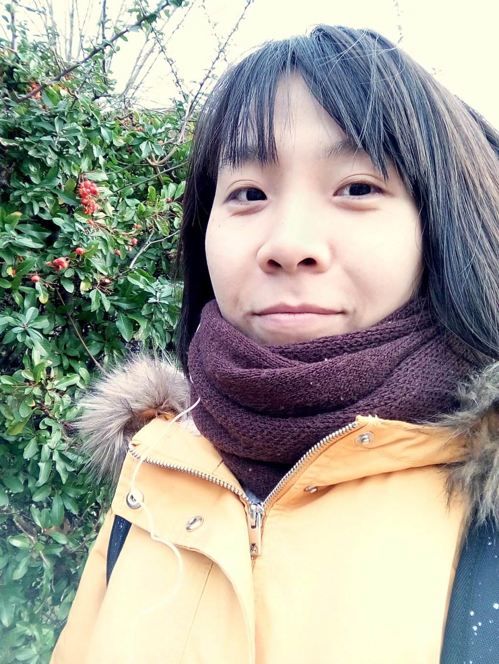 Fei Chen