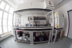 With a laboratory robot like this, large numbers of organoids can be generated in a standardized manner. The robot enables the scientists to generate, care for and test up to 20,000 brain organoids a day. By way of comparison: no more than a few hundred organoids can be cared for by hand each day. These also vary greatly and are therefore unsuitable for drug development.