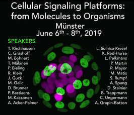 Cellular signaling platforms – from molecules to organisms Cellular signaling platforms – from molecules to organisms